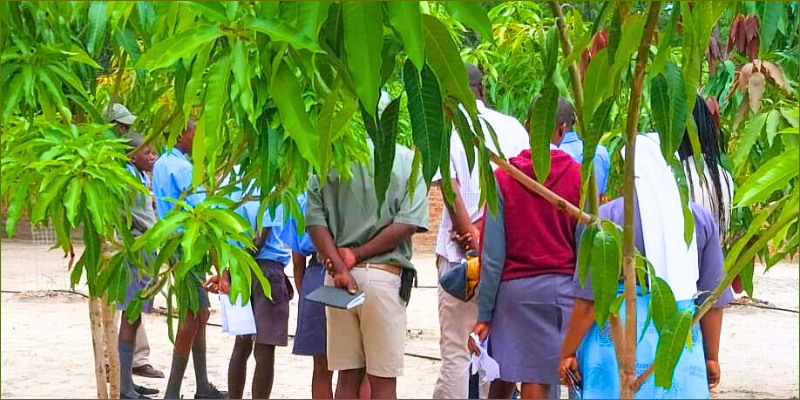 Gobelo Farm Tours for schools1