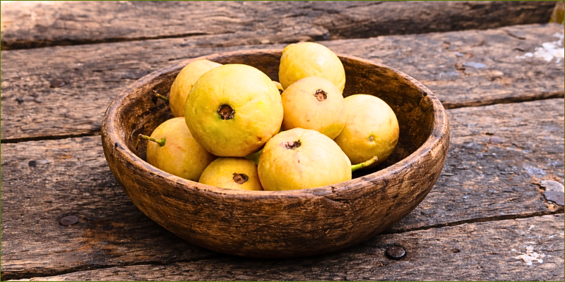 competition-for-guavas-again