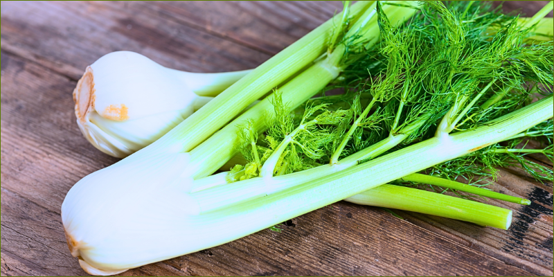 fennel-vs-dill3
