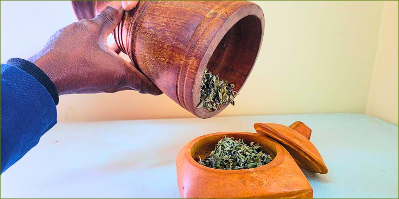 growing-and-drying-our-own-herbs2