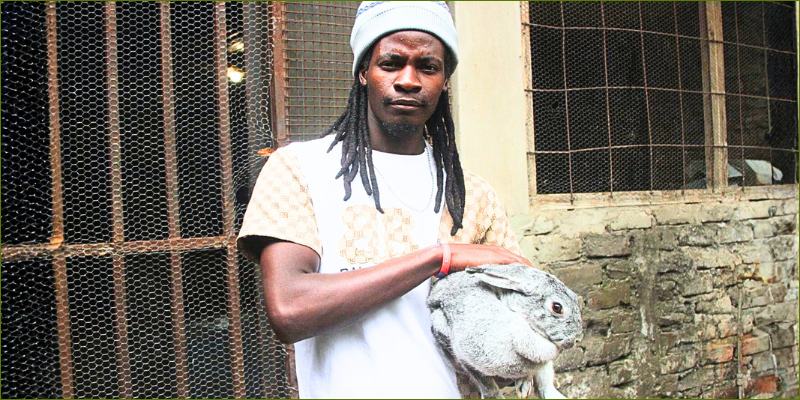 rabbit-training-at-Gobelo-Farm