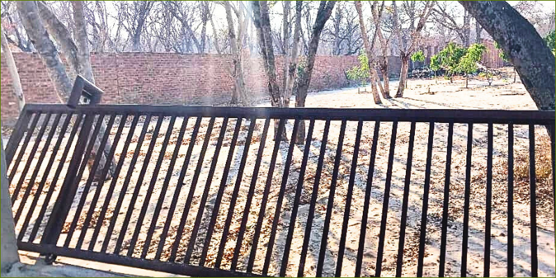 when-an-elephant-comes-visiting