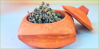 Growing and drying our own herbs