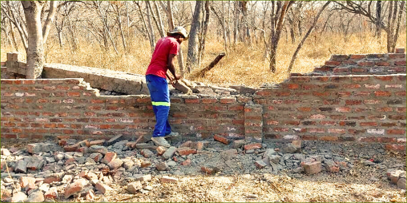 When an elephant comes visiting